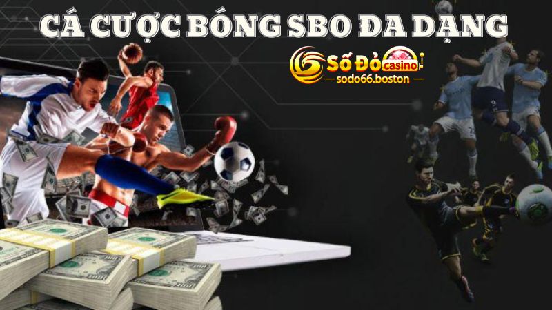 Cá cược thể thao SBO Sports đa dạng, hấp dẫn