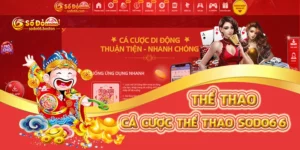 Cá cược thể thao sodo66