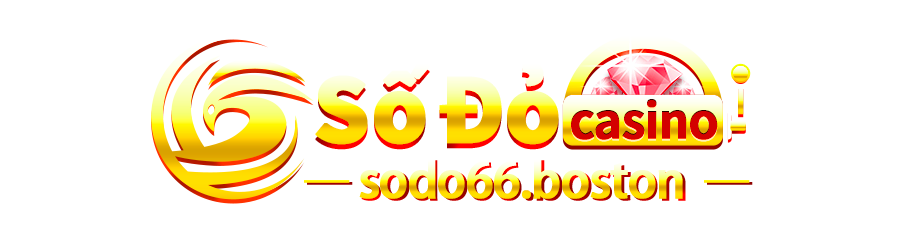 sodo66.archi