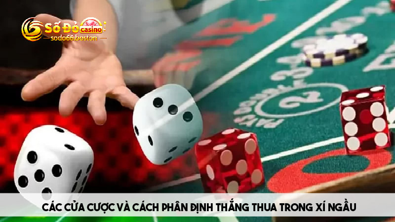 Các loại cược và cách phân định thắng thua trong game 