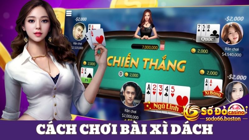 Cách chơi xì dách dễ hiểu nhất dành cho newbie