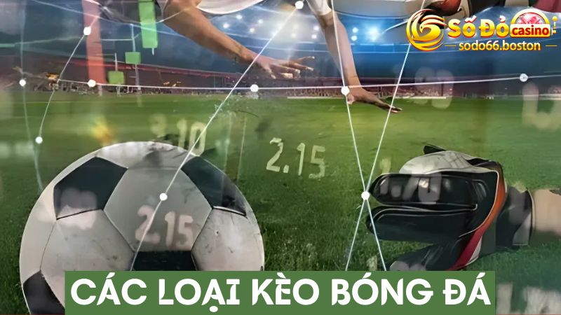 Hiểu rõ các loại kèo bóng đá trước khi tham gia cá độ