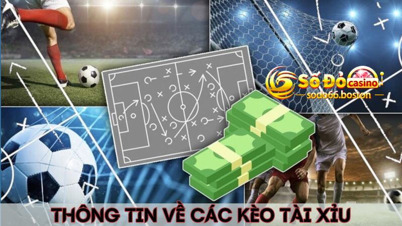 Bật mí thông tin chính xác về các loại cược O/U