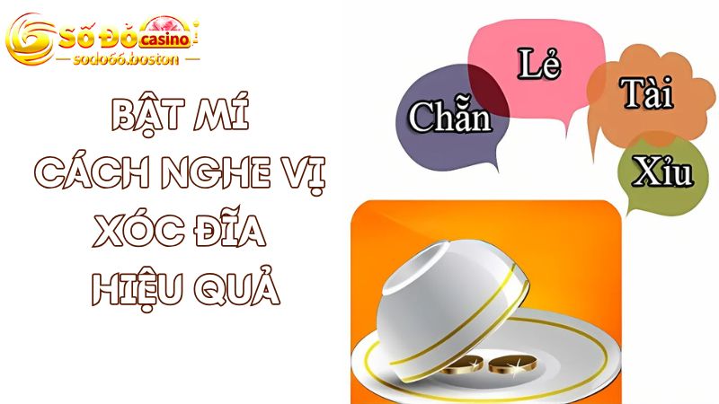 Bí quyết nghe vị xóc đĩa cho người mới