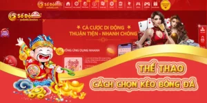 Hướng dẫn cách chọn kèo bóng đá chuẩn xác cùng SODO66