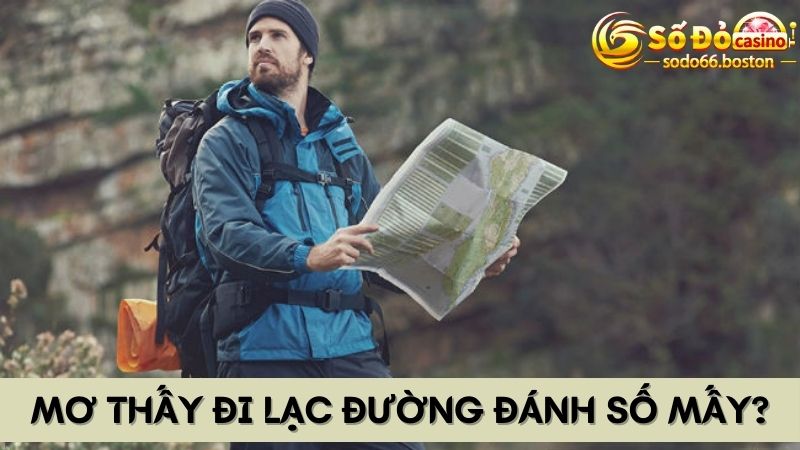 Chiêm bao đi lạc nên đánh đề số mấy để dễ trúng?