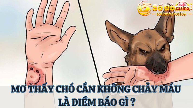 Chiêm bao thấy bị chó cắn không chảy máu là điềm báo lành hay dữ?