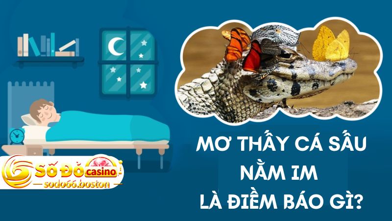 Gặp cá sấu nằm yên cũng là báo hiệu của sự yên bình