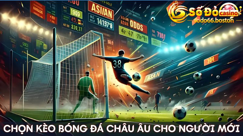 Kèo Châu Âu dành cho newbie chưa biết cách chọn kèo bóng đá