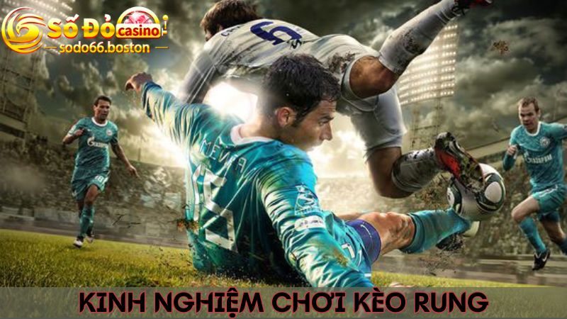 Kinh nghiệm đặt cược kèo rung chuẩn xác, thành công