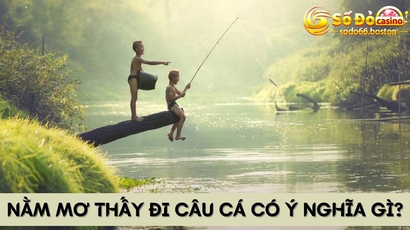 Lý giải điềm báo xoay quanh giấc mơ thấy đi câu cá