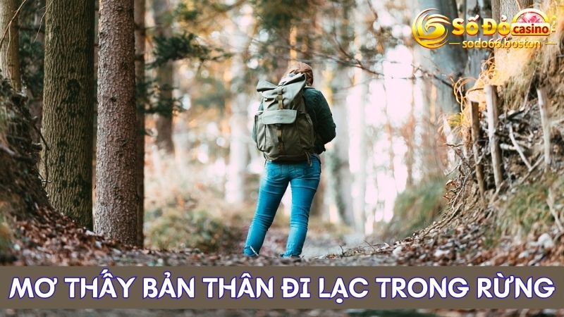 Lý giải giấc mơ thấy bản thân đang đi lạc trong rừng 