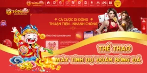 Máy tính dự đoán bóng đá - Công cụ soi kèo siêu chuẩn