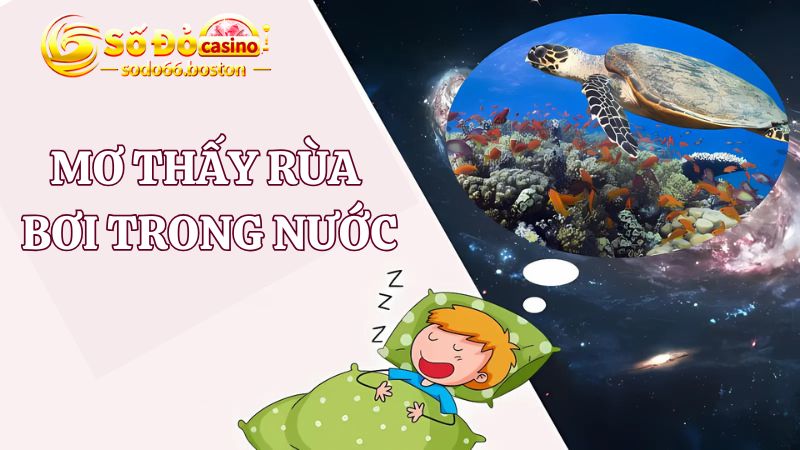 Mơ thấy rùa bơi trong nước là điềm báo thuận lợi trong công việc