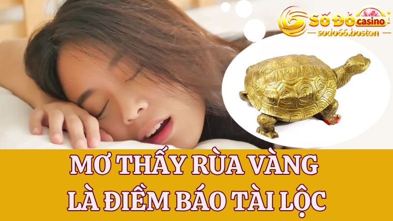 Mơ thấy rùa vàng là điềm báo may mắn, tượng trưng cho tiền tài đến với bạn 