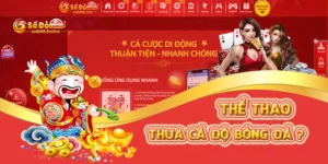 Thua cá độ bóng đá phải làm sao? Tìm hiểu nguyên nhân