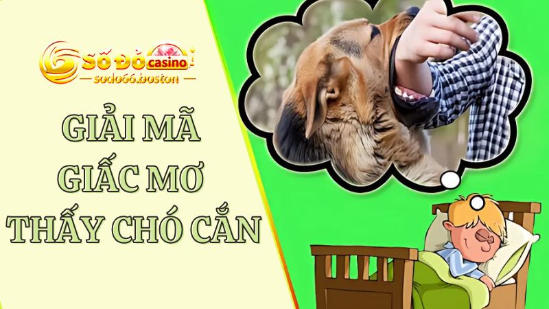 Ý nghĩa chi tiết của các giấc mơ thấy chó cắn